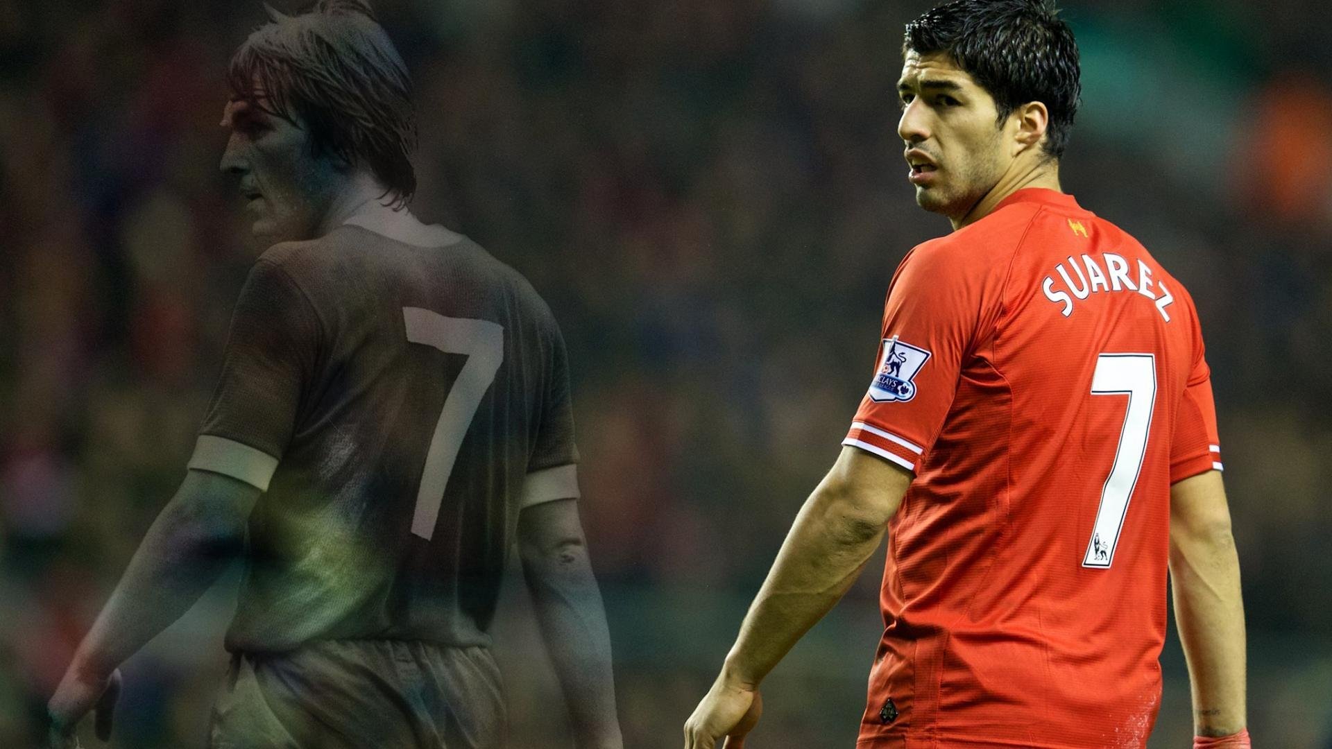 健身饮食蛋白质摄入